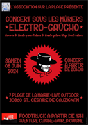electro gaucho